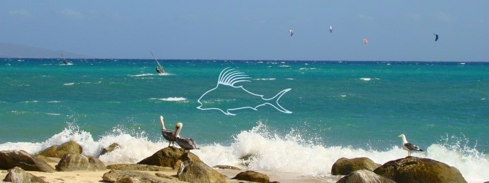 el_sargento_pelicans_960_2