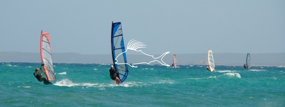 windsurfers_el_sargento_360