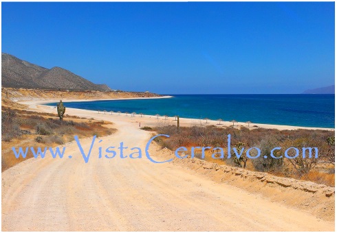 Isla Cerralvo Baja Mexico