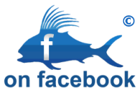 Hotel Vista Cerralvo Windsports on Facebook