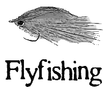 Fly Fishing La Paz Las Arenas