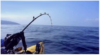 Fishing Las Arenas Baja Sur Mexico