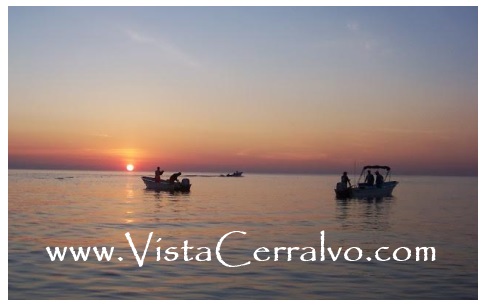 Las Arenas Sportfishing Pangas Cerralvo Island