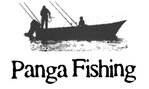 Panga Fishing La Paz Las Arenas