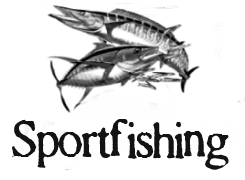 Sportfishing La Paz Las Arenas